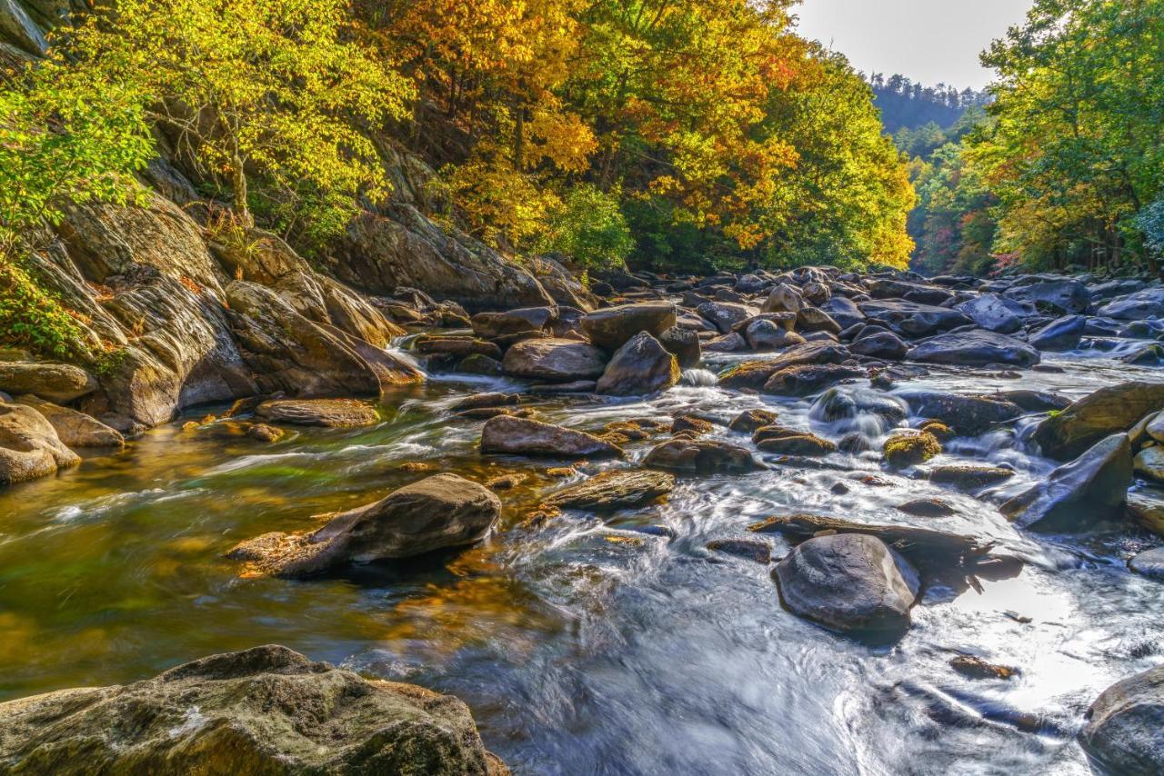 شقة City Bear, 2Br, Pool, Spa, Downtown Gatlinburg, Sleeps 6 المظهر الخارجي الصورة